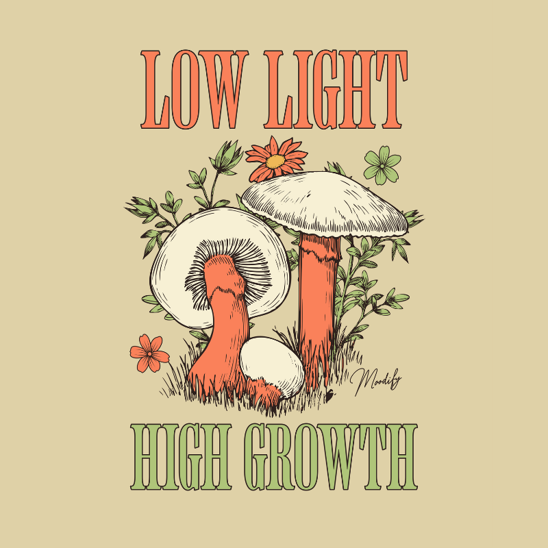 Low Light, High Growth